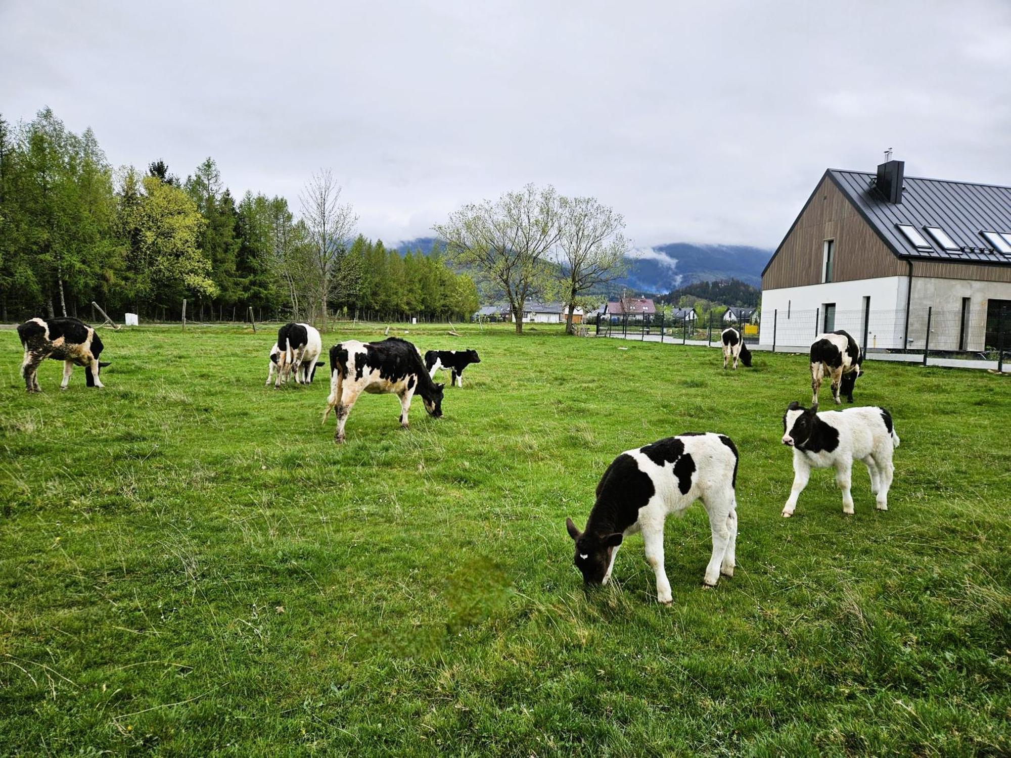 Zacisze W Karkonoszach Villa คาร์ปัตซ์ ภายนอก รูปภาพ